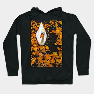 Swan In A Lake In Autumn Hoodie